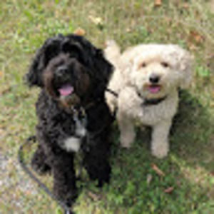 Meet your Posher, Trish